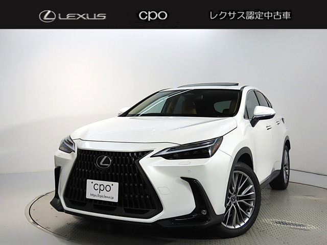 NX350h バージョンL