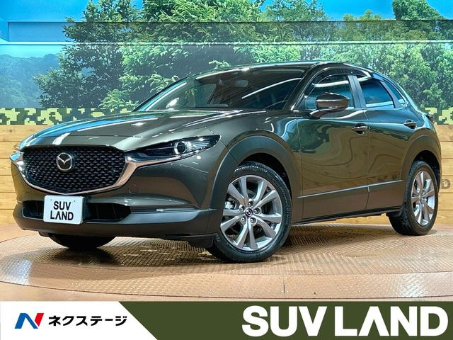 CX-302.0 20S