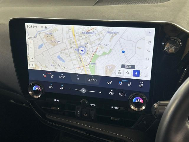 NX250 バージョンL