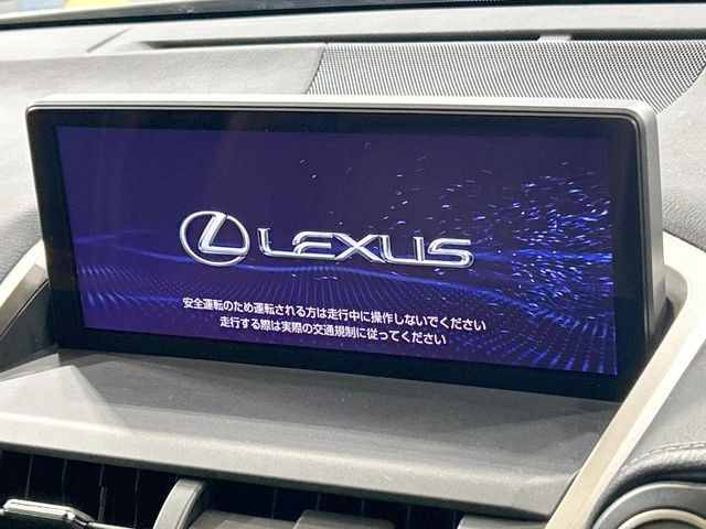 NX300h バージョンL