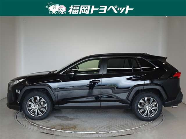 RAV42.0 X