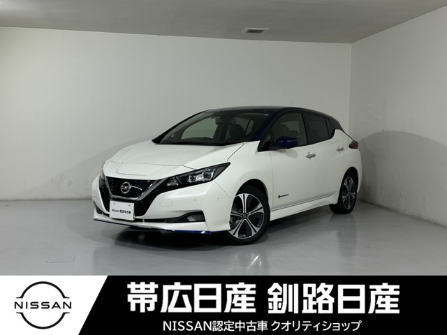 リーフe+ G