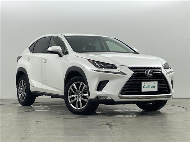 NX300h バージョンL