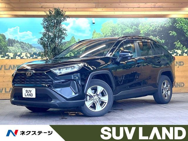 RAV42.0 X
