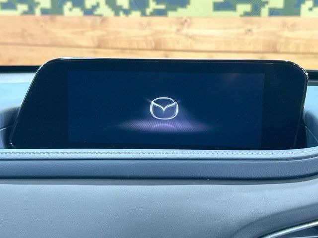 CX-302.0 20S