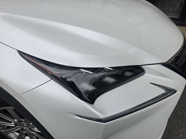 NX300h Iパッケージ