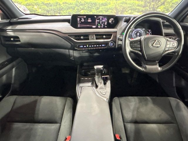UX250h