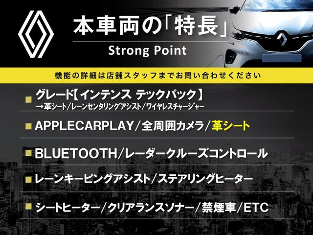 ルーテシアインテンス