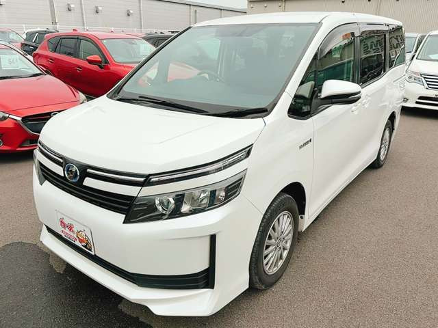 �y39.8���X�J�[�Y�̎��q���������������A���ɂ��肪�Ƃ��������܂��B���������q�s�Ö�368-1