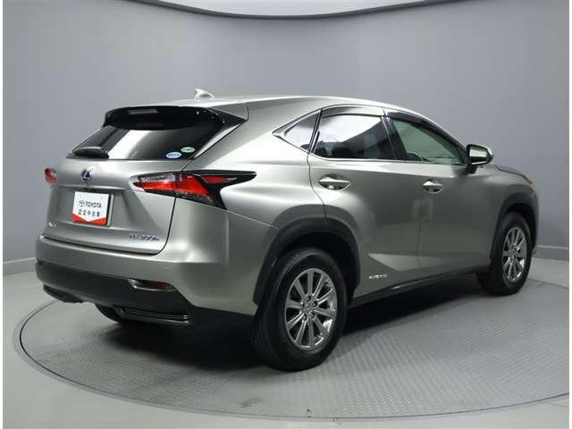 NX300h 4WD