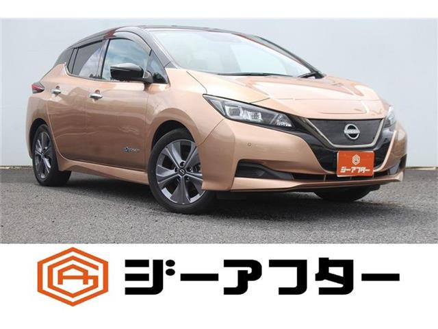 リーフアーバンクロム