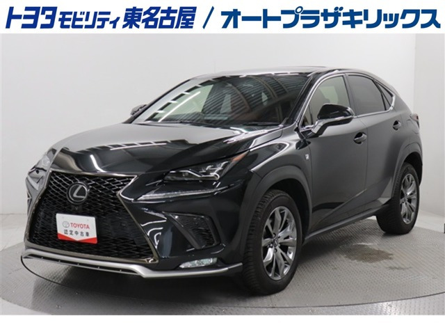 NX300 Fスポーツ