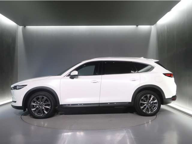 CX-8