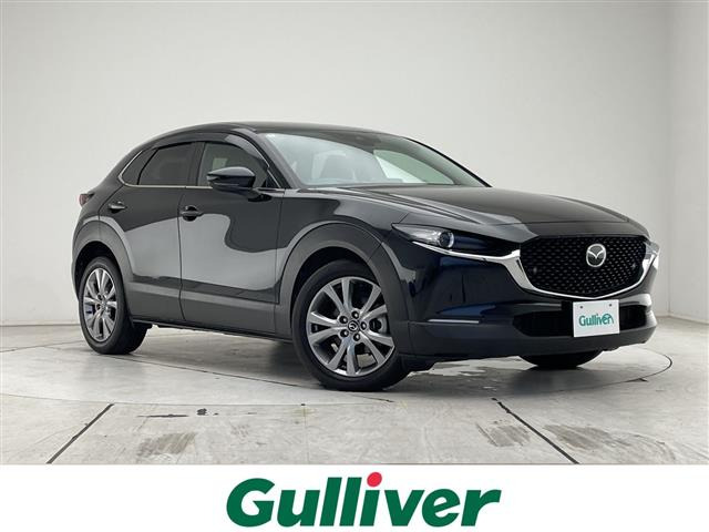 CX-302.0 20S