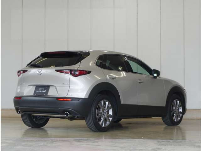 CX-301.8 XD プロアクティブ ツーリングセレクション