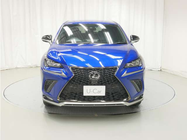 NX300 4WD