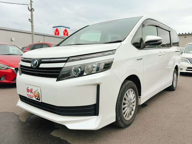 �y39.8���X�J�[�Y�̎��q���������������A���ɂ��肪�Ƃ��������܂��B���������q�s�Ö�368-1