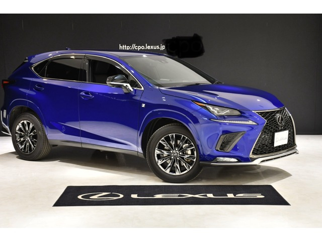 NX300 4WD