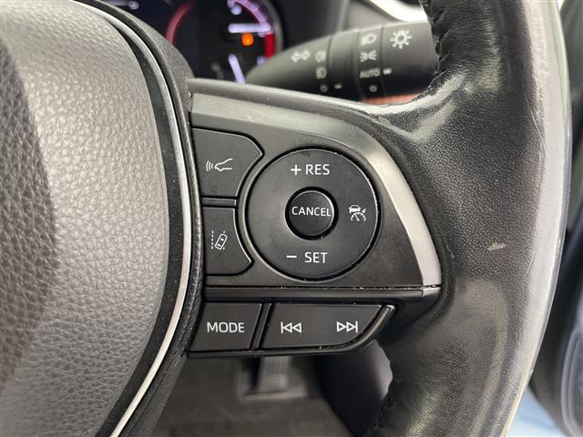 RAV42.0 アドベンチャー 4WD