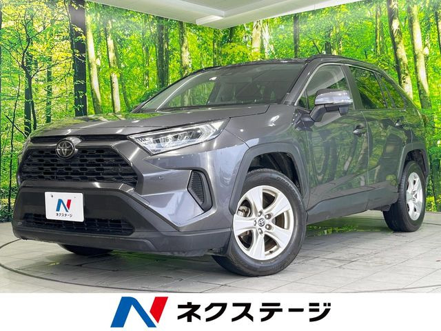 RAV42.0 X