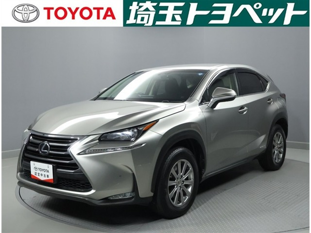 NX300h 4WD
