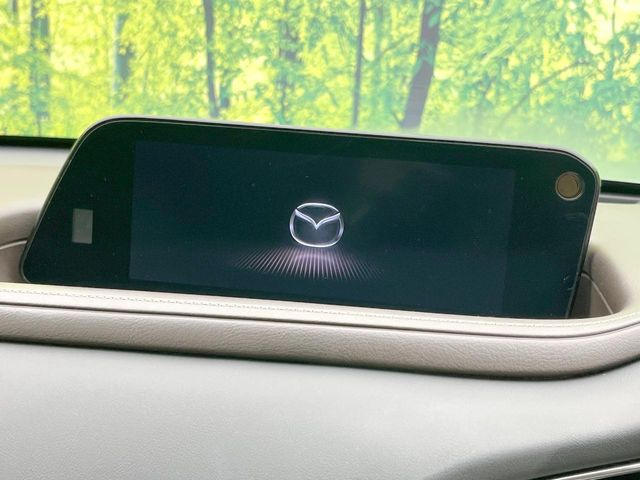 CX-301.8 XD Lパッケージ