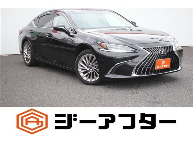 ES300h バージョンL