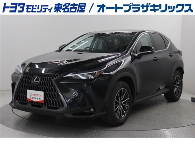 NX
