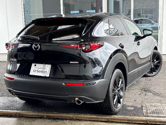 CX-302.0 20S ブラックトーンエディション
