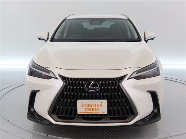 NX250 4WD