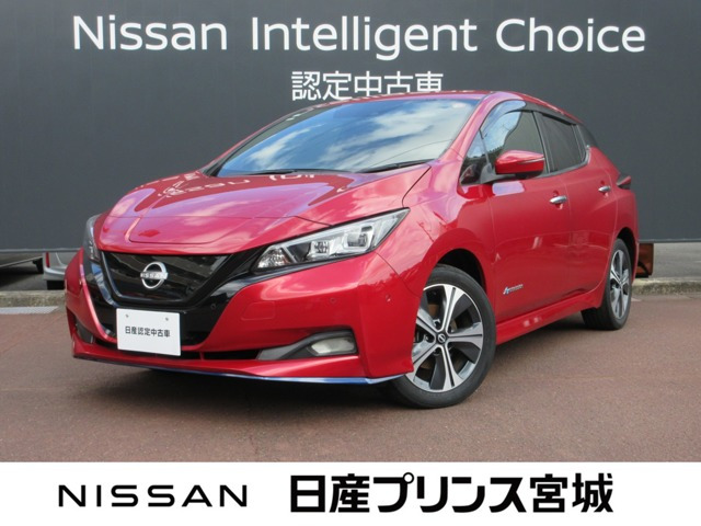 リーフe+ G