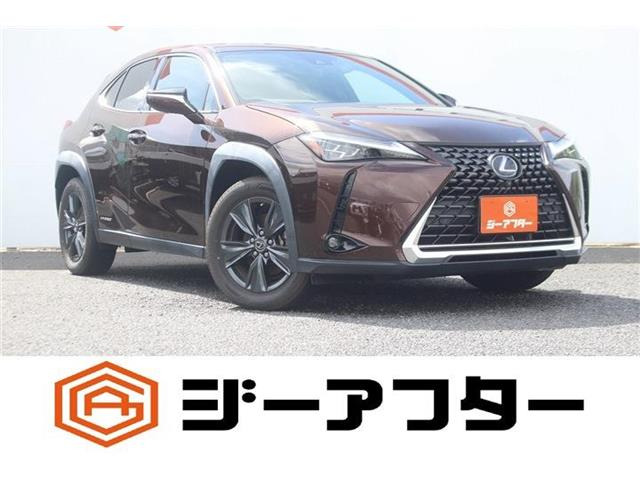 UX250h ブラウン エディション
