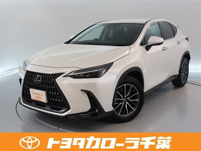 NX250 4WD