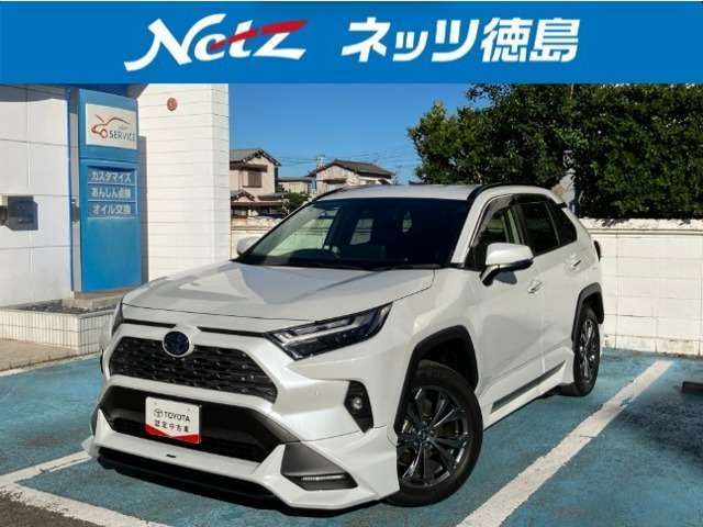RAV42.5 ハイブリッド G E-Four 4WD