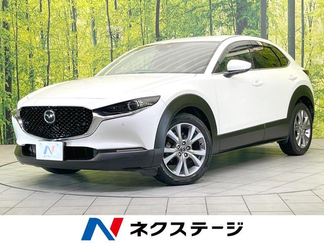 CX-301.8 XD Lパッケージ