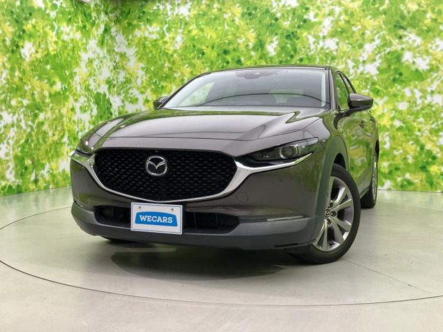 CX-301.8 XD Lパッケージ 4WD