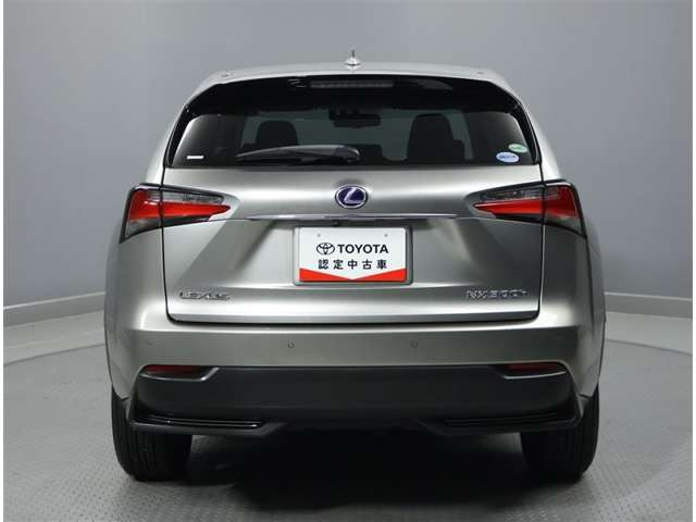NX300h 4WD