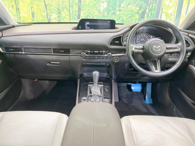 CX-301.8 XD Lパッケージ