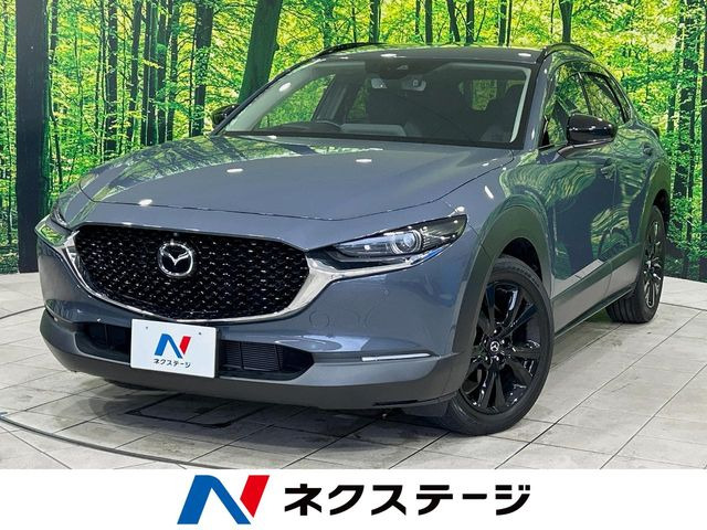 CX-302.0 20S ブラックトーンエディション