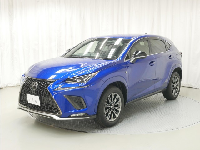 NX300 4WD