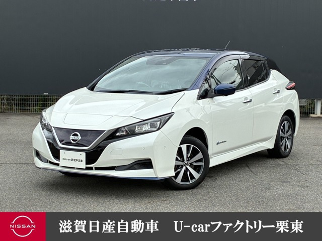 リーフe+ X