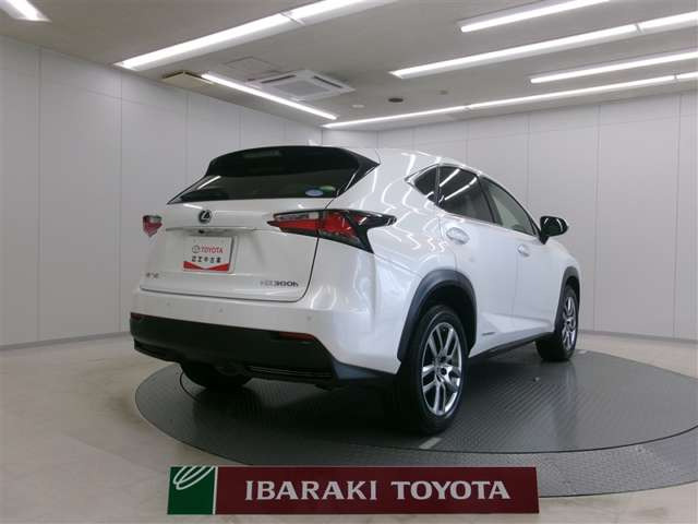 NX300h Iパッケージ