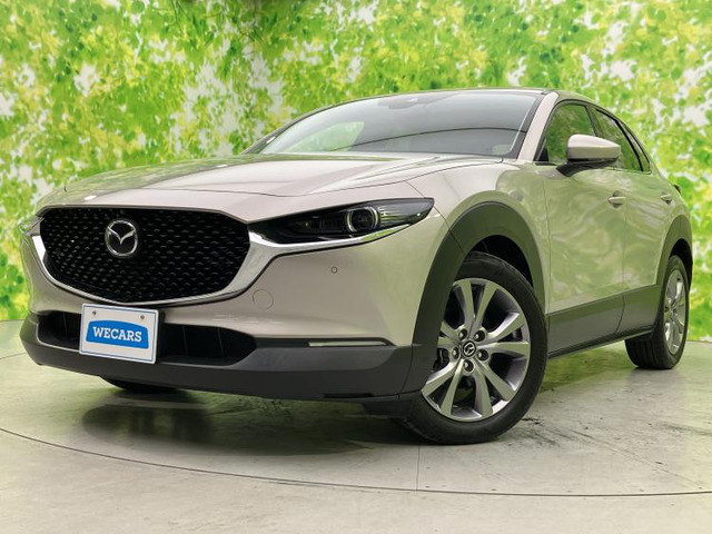 CX-302.0 20S プロアクティブ ツーリングセレクション