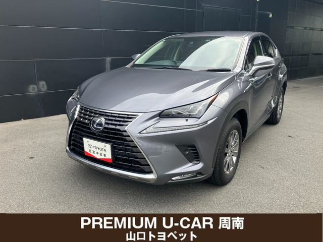 NX300h Iパッケージ