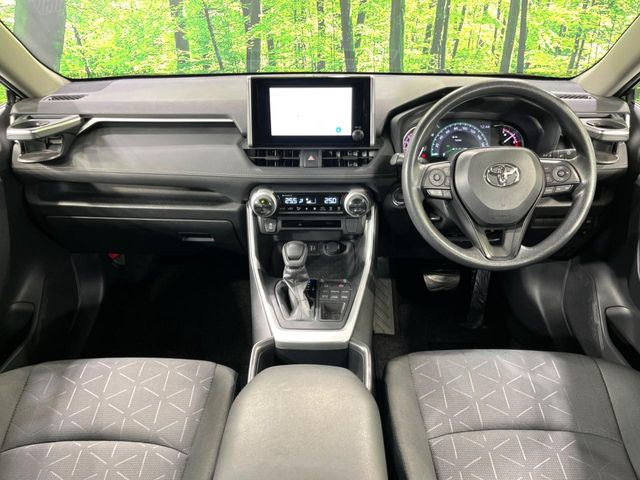 RAV42.0 X