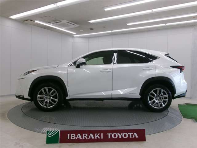 NX300h Iパッケージ