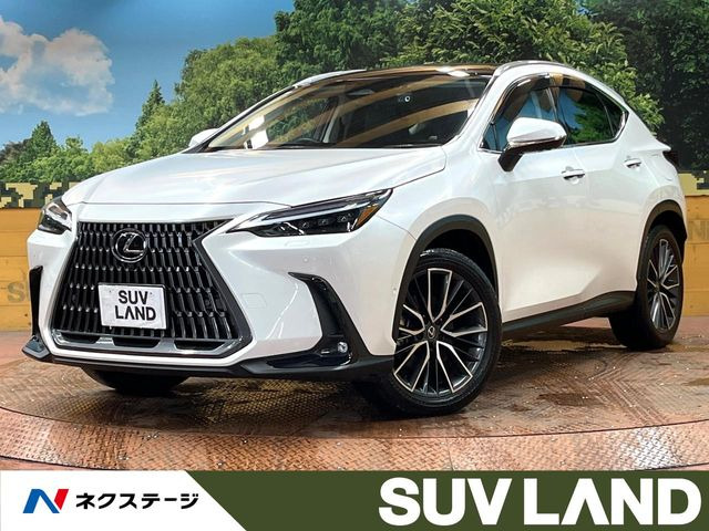 NX350h バージョンL