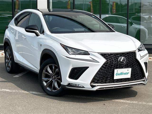 NX300 Fスポーツ 4WD