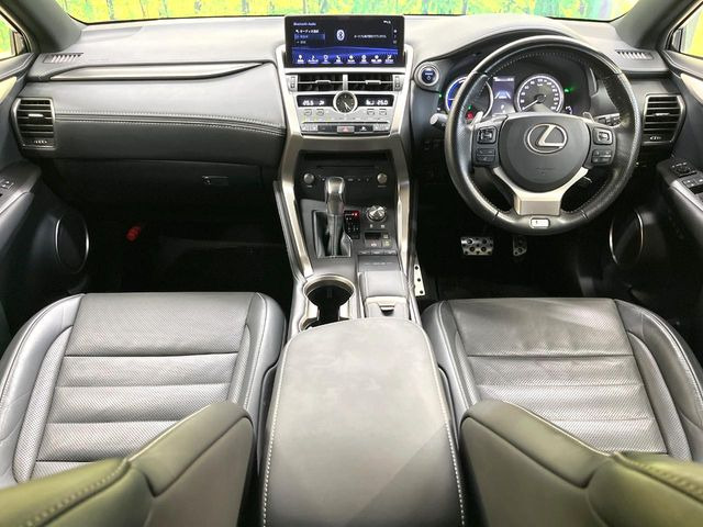 NX300h Fスポーツ