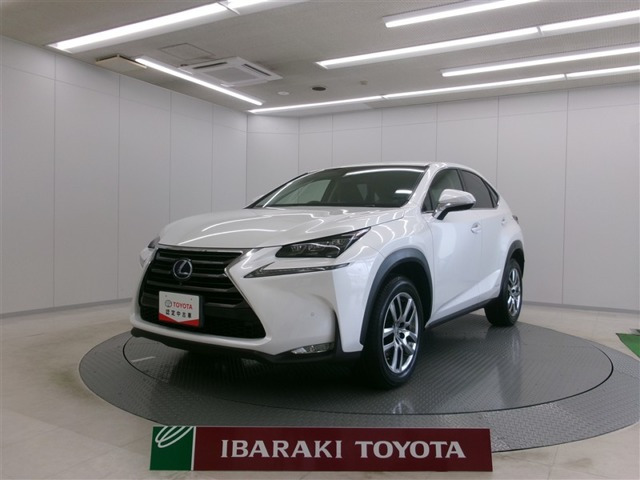 NX300h Iパッケージ